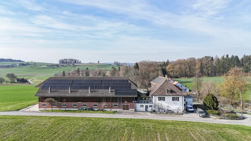 Landwirtschaftliches Gewerbe mit Wohnhaus, Käserei und Schweinemast