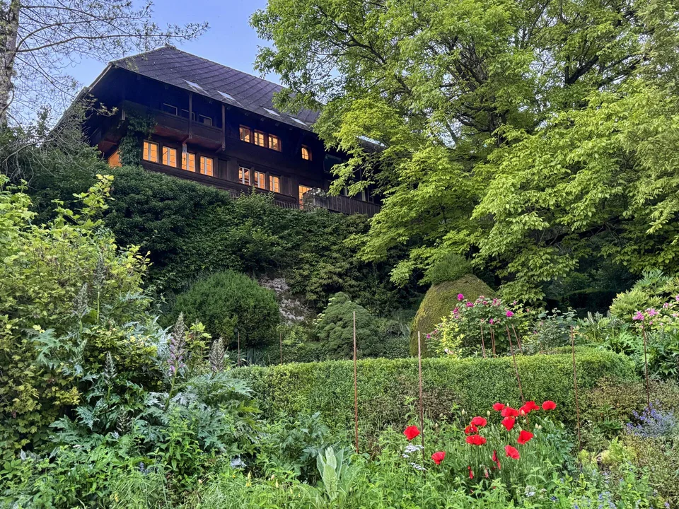 Einzigartige Naturoase am Wohlensee