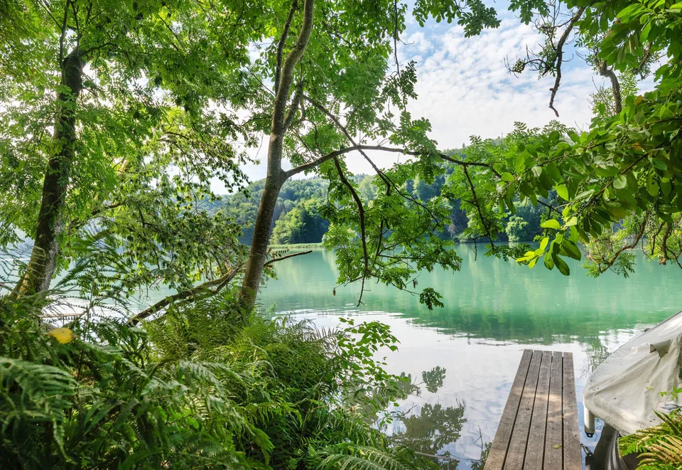 Einzigartige Naturoase am Wohlensee