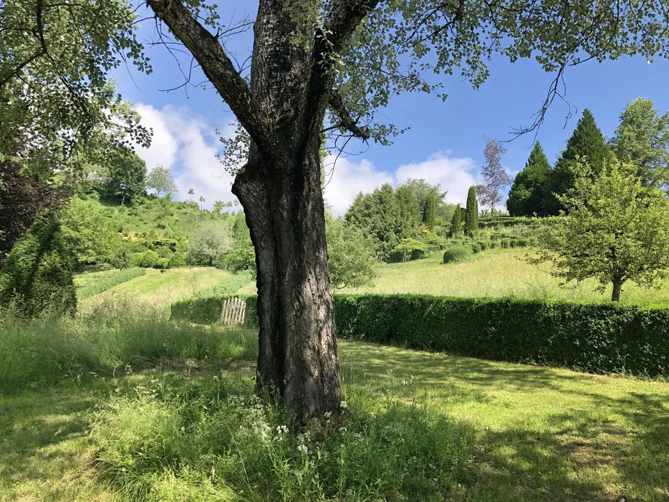 Einzigartige Naturoase am Wohlensee