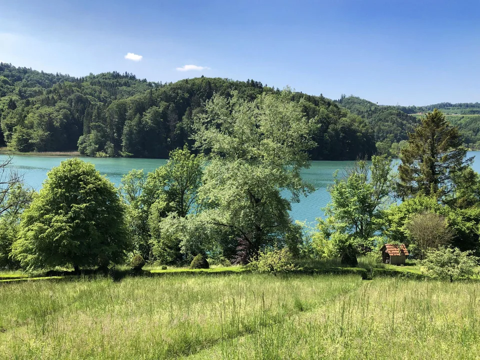 Einzigartige Naturoase am Wohlensee