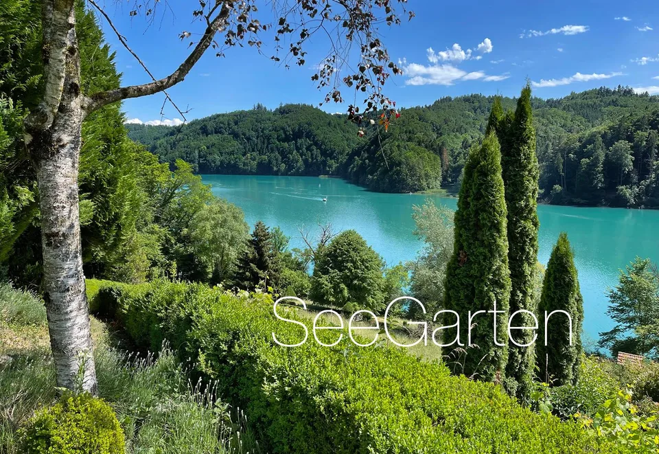 Einzigartige Naturoase am Wohlensee