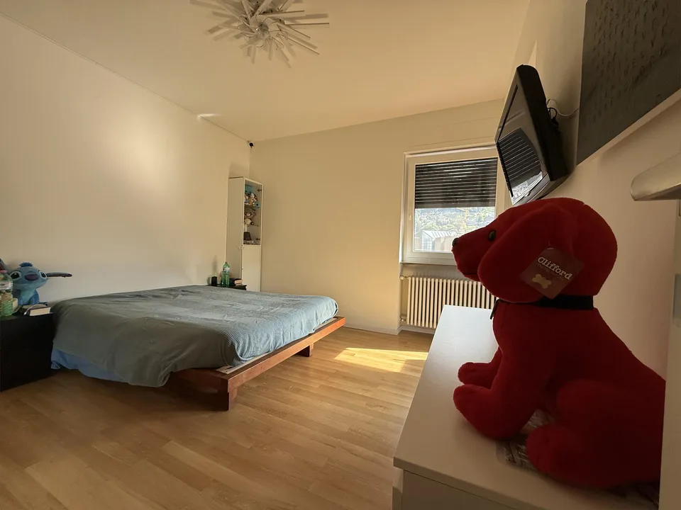 "Splendido appartamento 3.5 locali completamente ristrutturato a Lugan – Foto 6 von 6