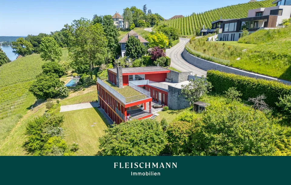 Einfamilienhaus mit grandioser Panoramasicht