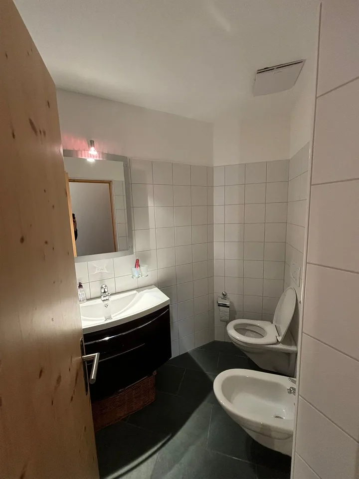 Wohnung im alpinen Stil