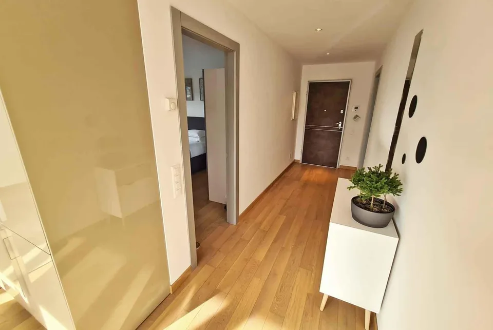 BELLISSIMO 2.5 LOCALI IN ZONA CENTRALE E SERVITA A MASSAGNO