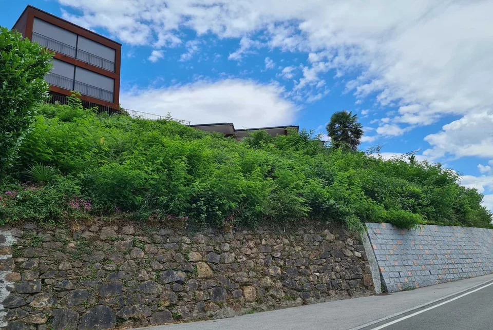 TERRENO CON VISTA LAGO E PROGETTO PER UNA VILLA A NEGGIO