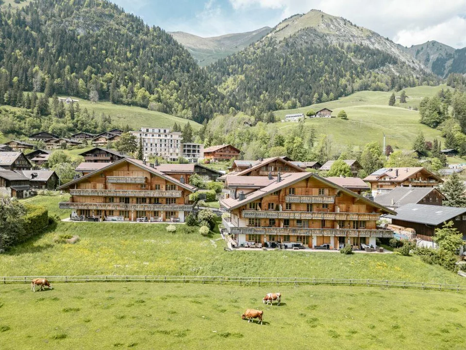 Appartement moderne de 3,5 pièces à Château-d'Oex