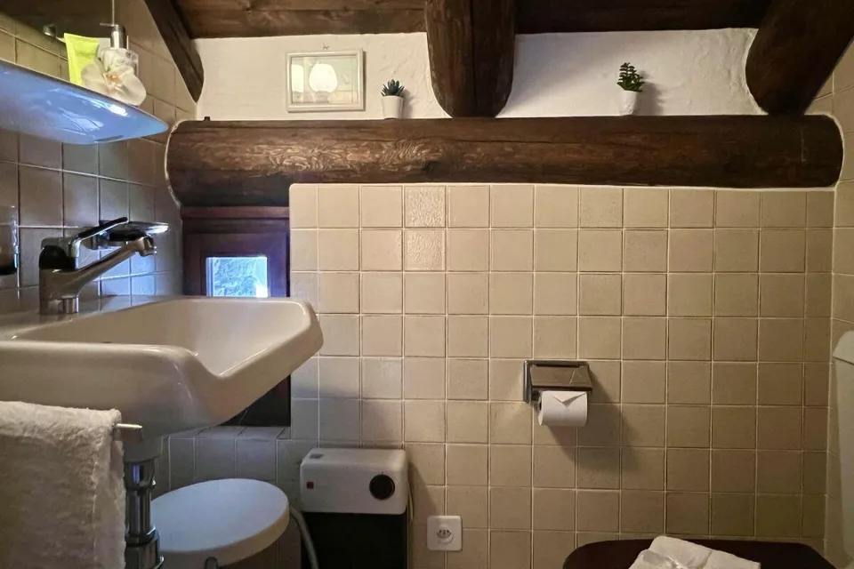 Charmantes Rustico mit grossem Grundstück und schöner Seesicht – photo 18 sur 30