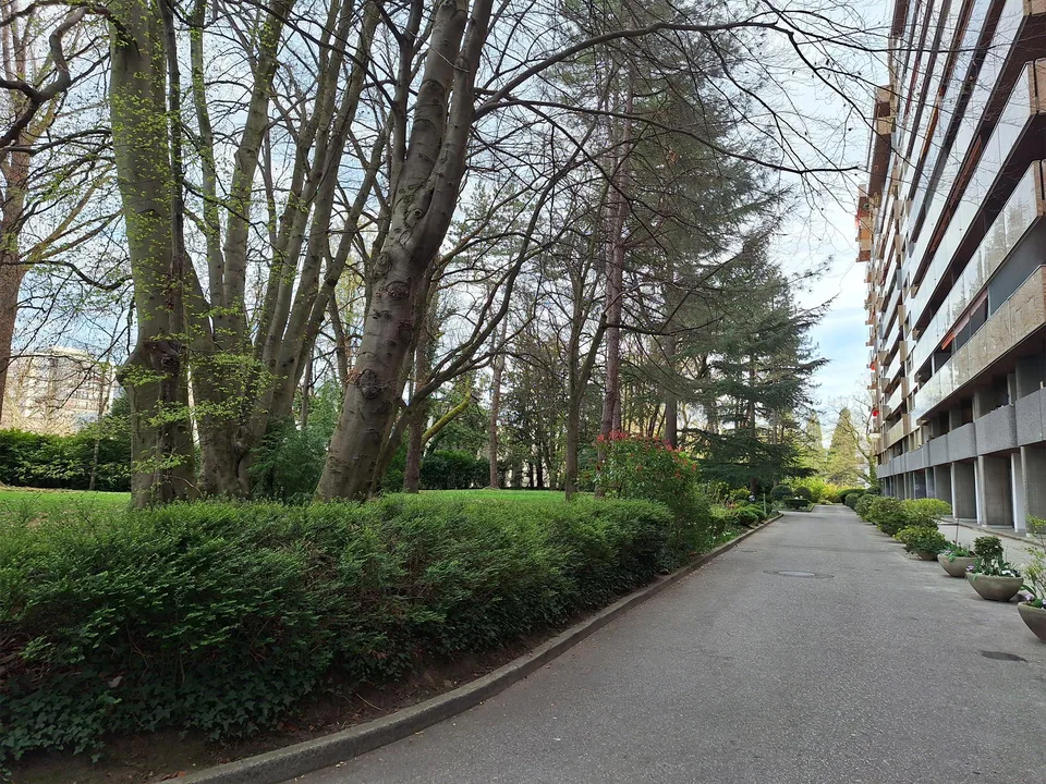 Opportunité d'investissement à Cologny, et pas seulement !