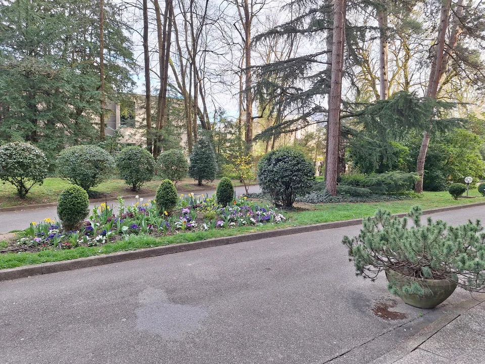 Opportunité d'investissement à Cologny, et pas seulement !