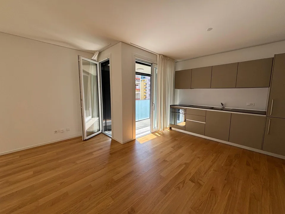 Ampio monolocale a Paradiso – photo 6 sur 8
