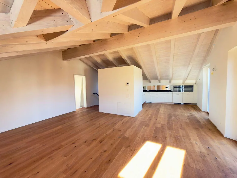 Casa Gatti: Nuovo progetto con 3 appartamenti di 3 ½ locali e attic...