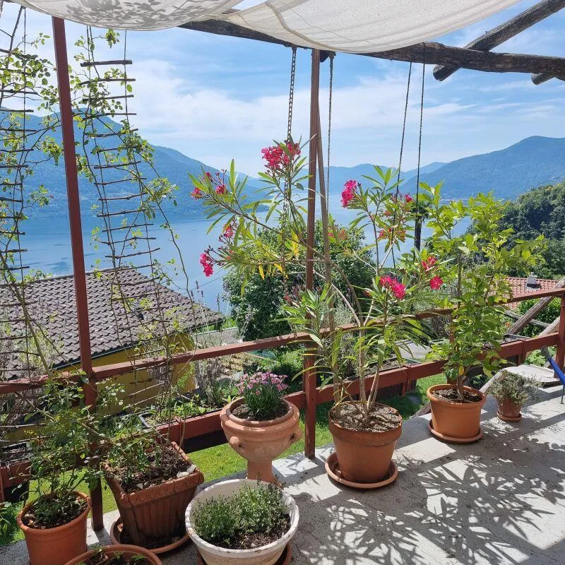 2 case di 4 1/2 locali , con giardino e magnifica vista Lago | Zwei... – foto 6 di 9