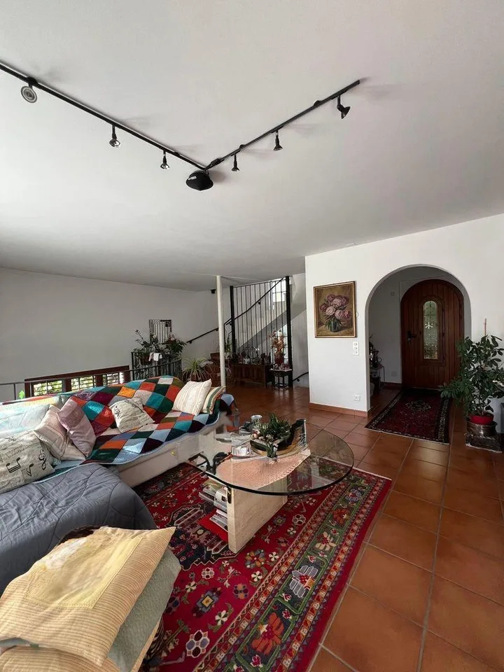 Minusio - Villa bifamiliare