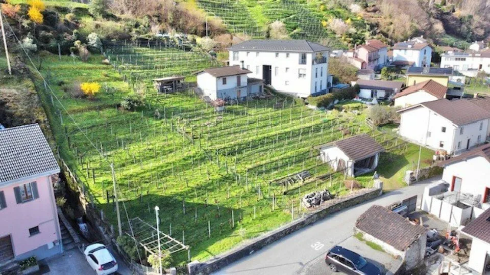 ZU VERKAUFEN IN CONTONE (Gambarogno) - GROSSES BEBAUBARES LAND