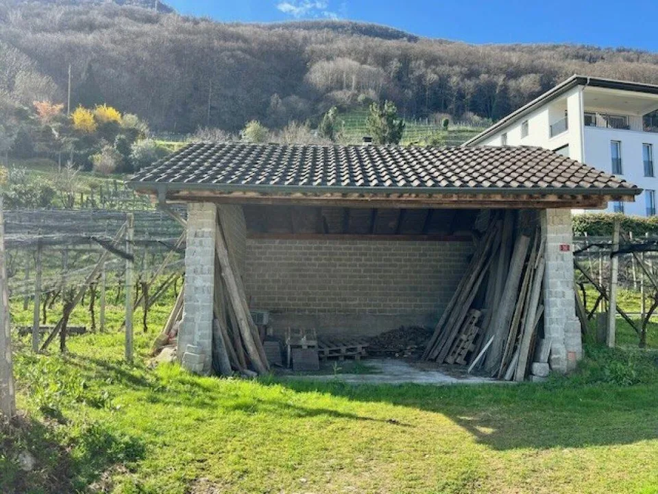 ZU VERKAUFEN IN CONTONE (Gambarogno) - GROSSES BEBAUBARES LAND – foto 8 di 10