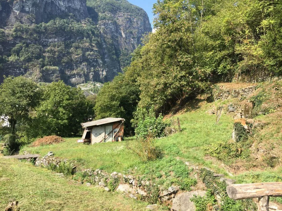 Terreno edificabile R3 + terreno boschivo