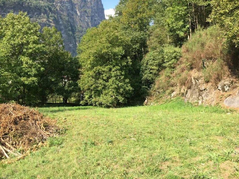 Terreno edificabile R3 + terreno boschivo