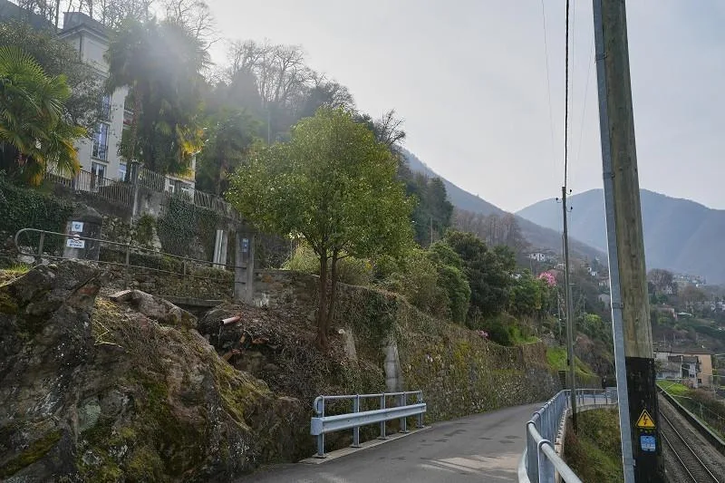 Bauland von 535 m2 Fläche an herrlicher Panoramaseeblicklage mit Po... – Foto 7 von 16