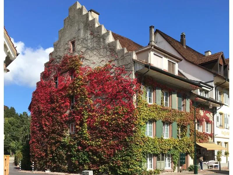 Wohn- und Geschäftshaus Im Herzen von Gelterkinden
