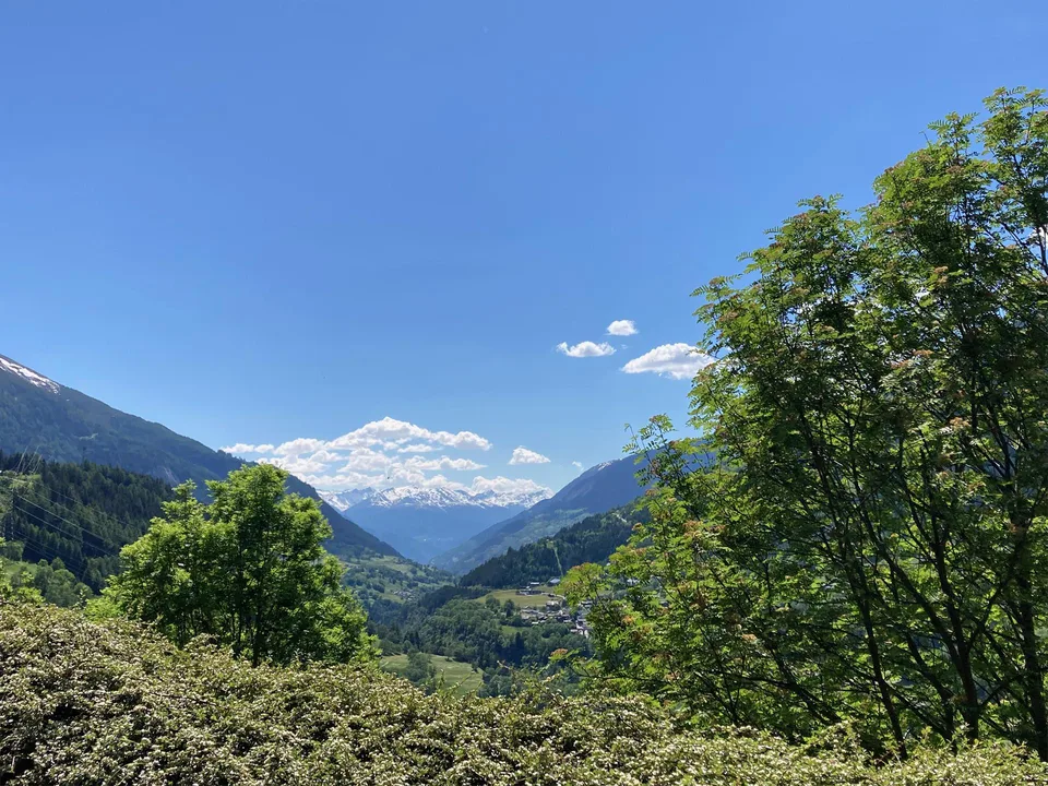 Sonnige 3.5-Terrassen-Wohnung mit grandioser Aussicht