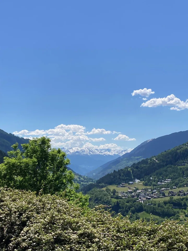 Sonnige 3.5-Terrassen-Wohnung mit grandioser Aussicht