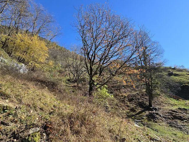Stall zum Ausbauen bewilligtes Projekt, sehr ruhig, sonnig /Stalla ... – photo 15 sur 24