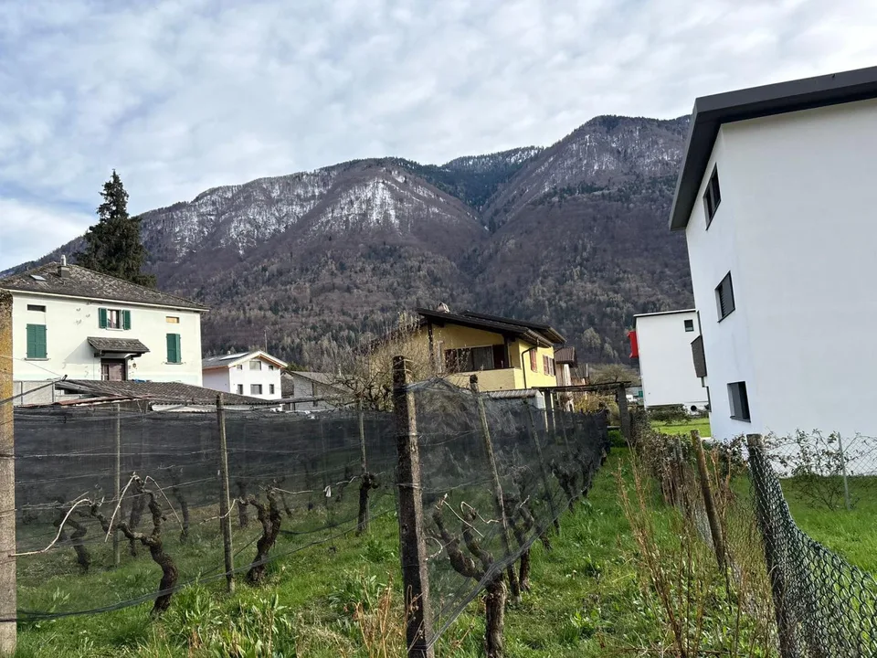 2 1/2-Zimmer-Dachwohnung / Appartamento 2,5 locali ultimo piano – photo 14 sur 24