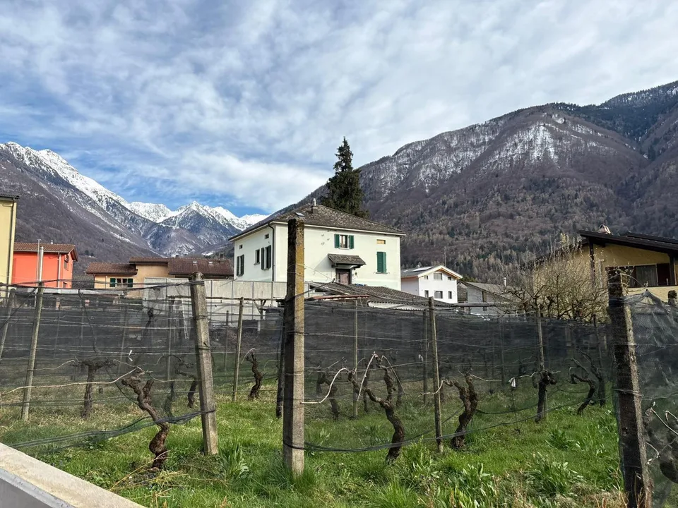2 1/2-Zimmer-Dachwohnung / Appartamento 2,5 locali ultimo piano – photo 17 sur 24