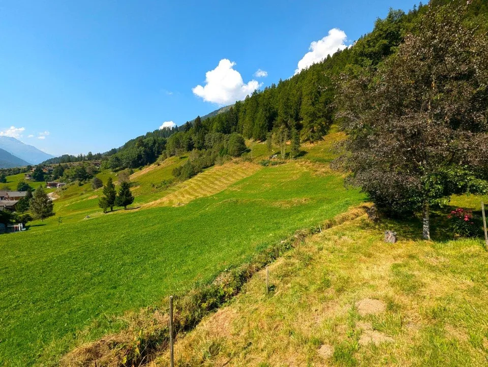 Unverbaubares Bauland am Waldesrand im Goms