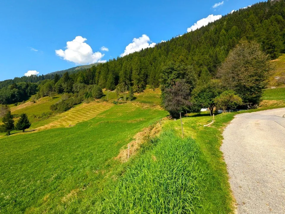 Unverbaubares Bauland am Waldesrand im Goms – foto 7 di 13