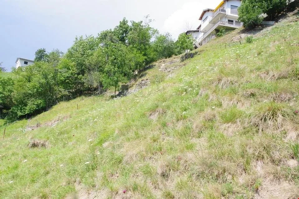 Prächtiges Bauland in Ausserberg – Foto 8 von 11