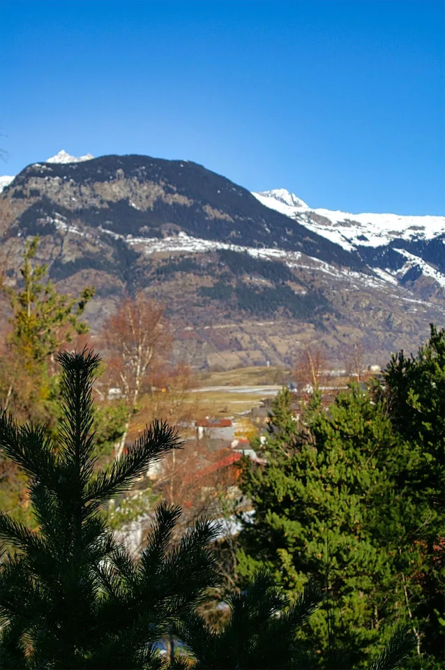 Fantastisches Bauland in ruhiger und unverbaubarer Lage – Foto 6 von 11
