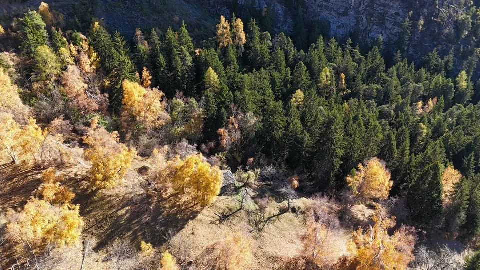 Sonniges Landwirtschaftsland mit Stall bei Leukerbad
