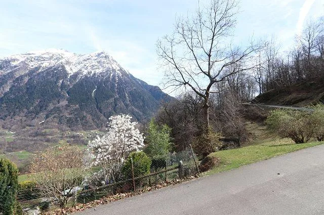Stall zum Ausbauen mit 15627 m2 Wiese und Wald an sehr ruhiger, son... – Foto 7 von 9