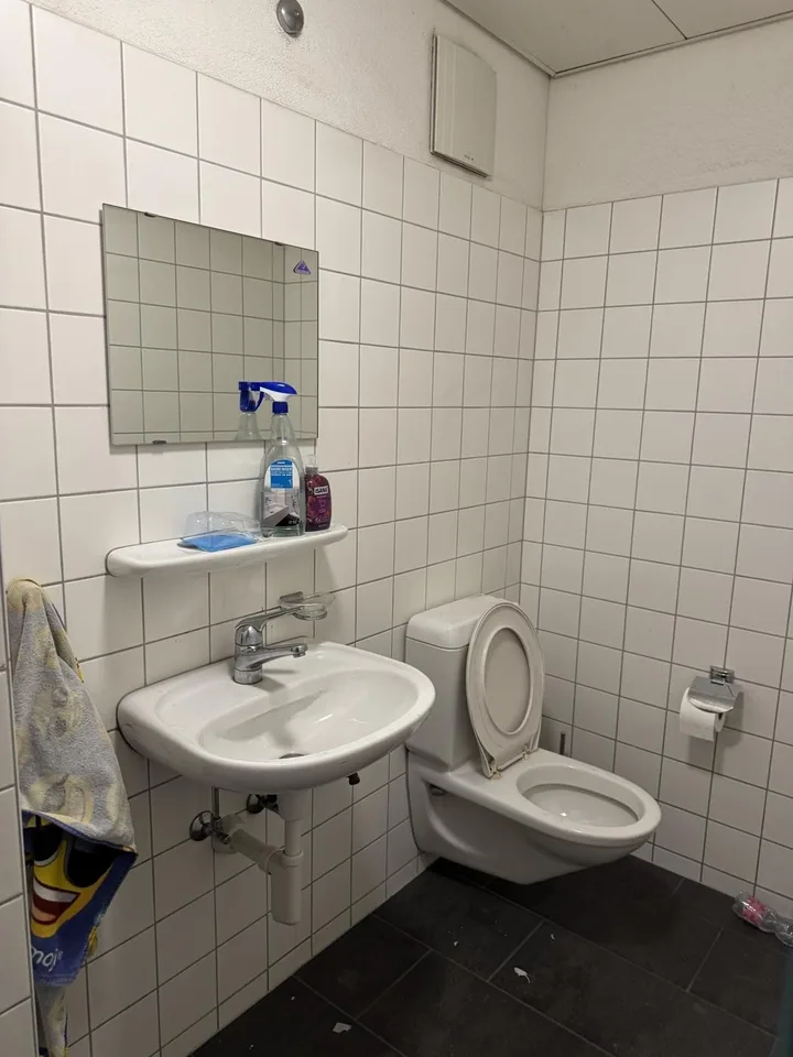 ATTRAKTIVE GEWERBEFLÄCHE MIT BESTEHENDEN MIETER-INVESTITIONSGELEGEN... – foto 10 di 14