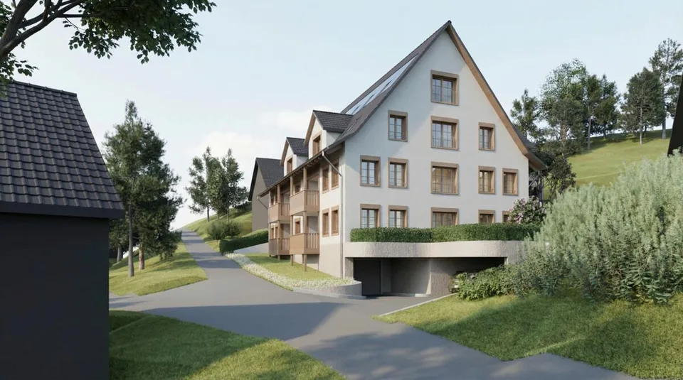 Neubauprojekt Hornstrasse, Illnau