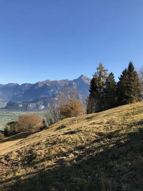 Baugrundstück am Maienberg