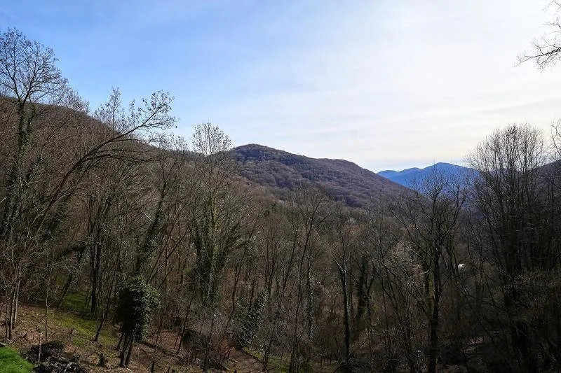 Grosses Rustico an Alleinlage mit sehr viel Umschwung / grande rust... – photo 21 sur 28