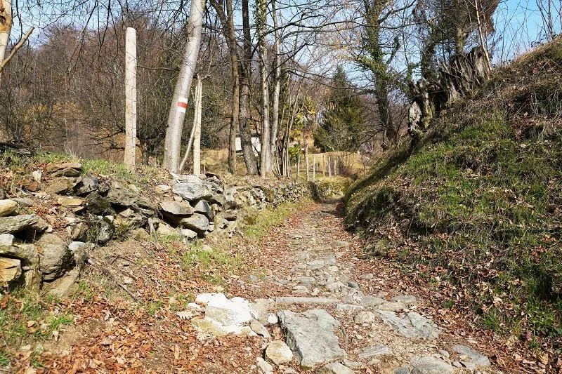 Grosses Rustico an Alleinlage mit sehr viel Umschwung / grande rust... – photo 15 sur 28