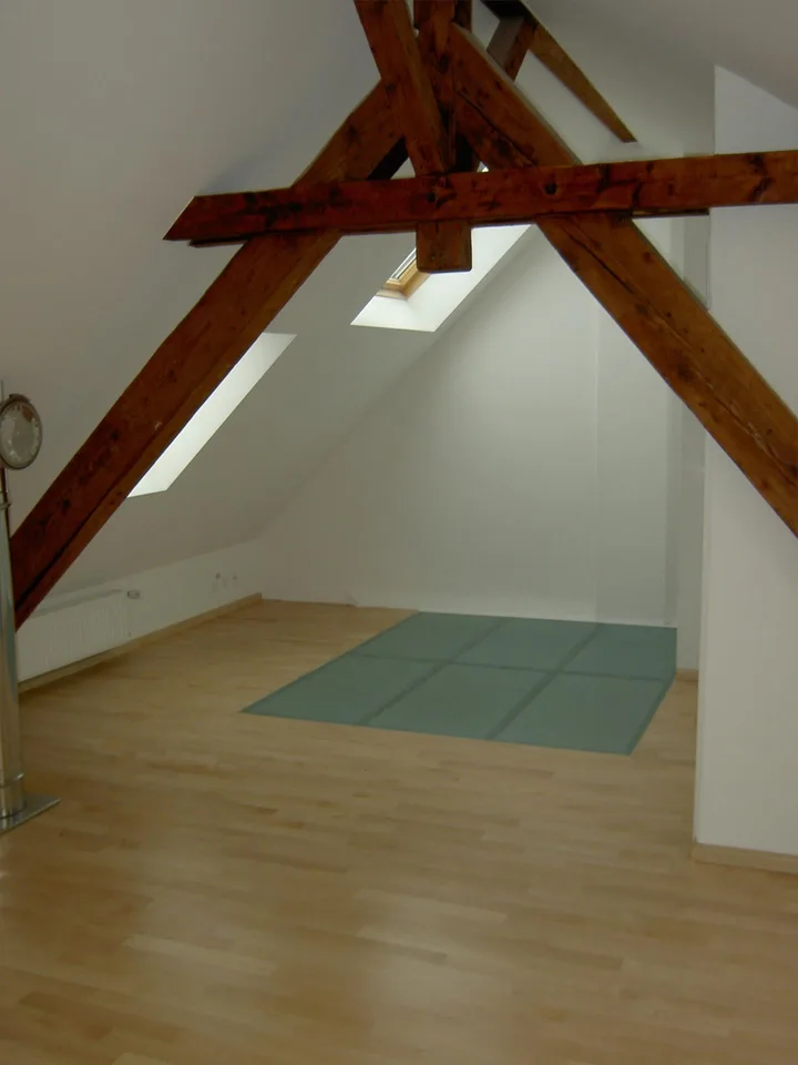 2.5 -3-Zimmer-Loft-Maisonette-Dachwohnung – Foto 16 von 23