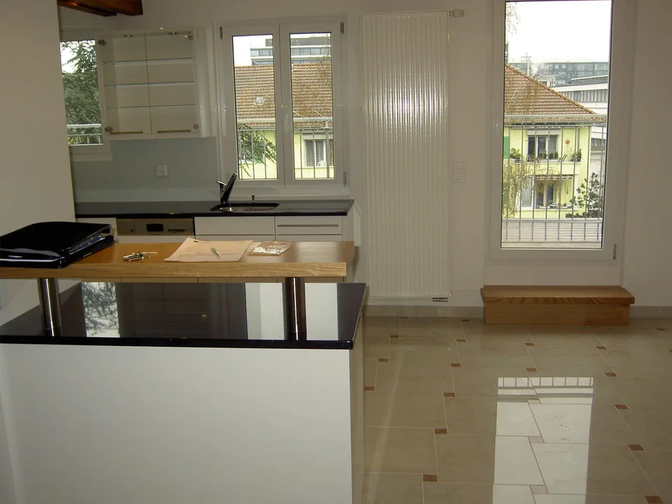 2.5 -4-Zimmer-Loft-Maisonette-Dachwohnung