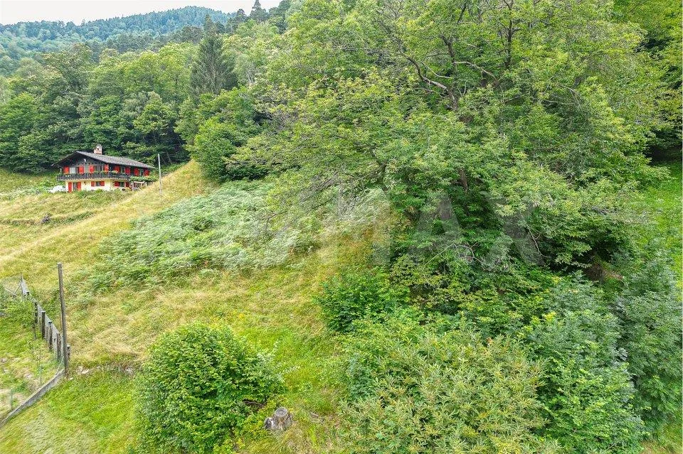 Terreno edificabile con vista – Foto 12 von 13