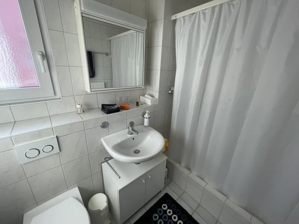 6.5-Zimmer Doppel-Einfamilienhaus mit Garage in Birsfelden/BL – Foto 8 von 12