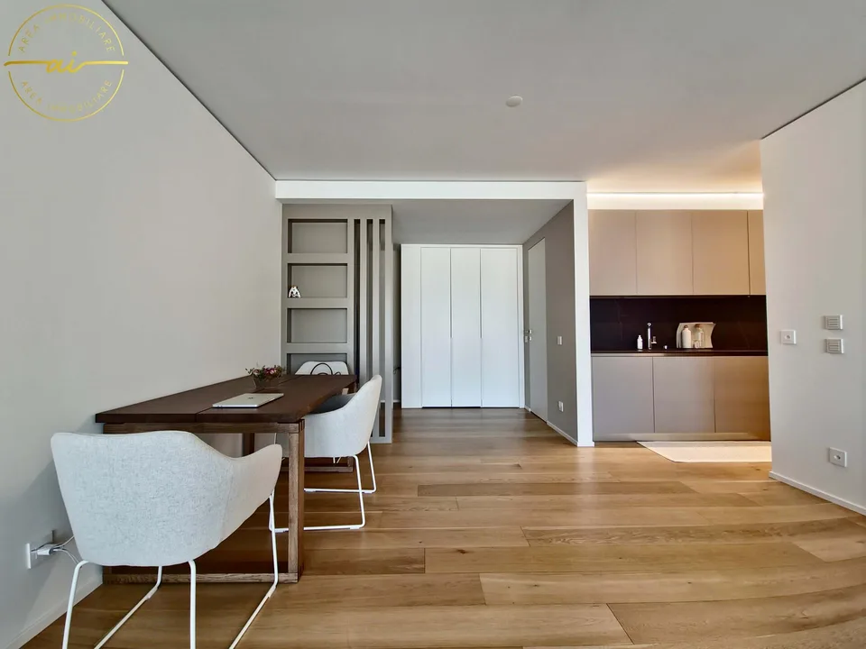 ELEGANTE APPARTAMENTO 3.5 LOCALI CON TERRAZZA E VISTA LAGO