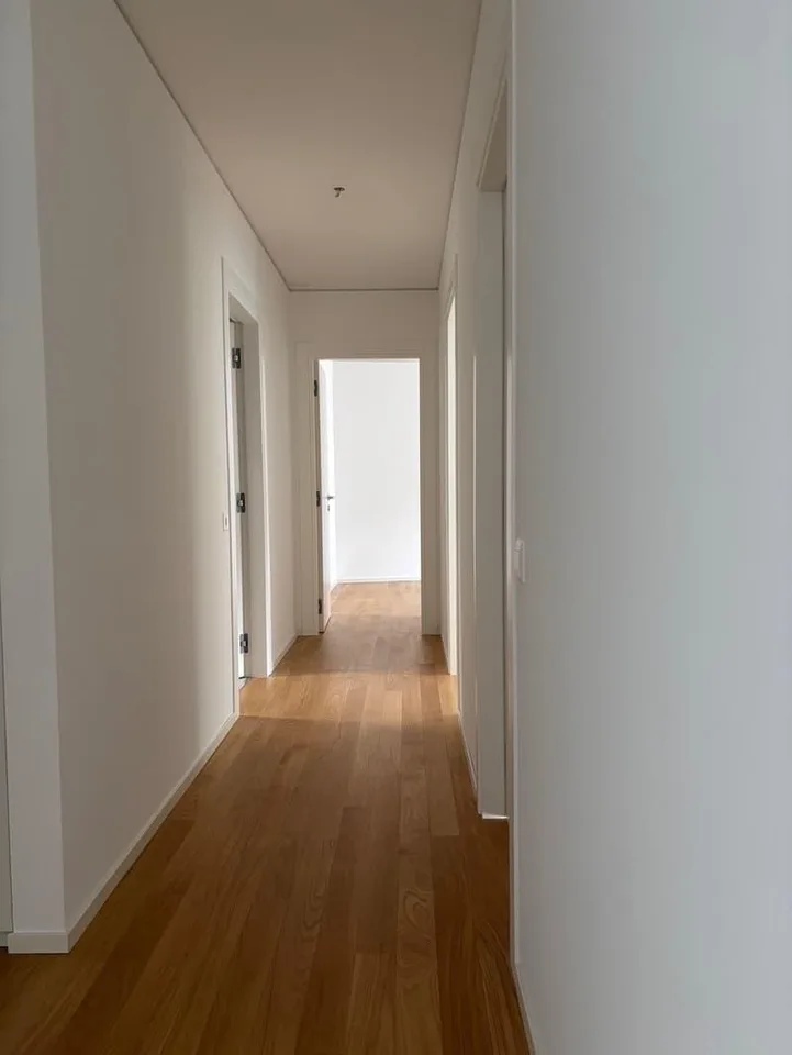 Moderno appartamento di 3.5 locali a Paradiso – foto 7 di 10