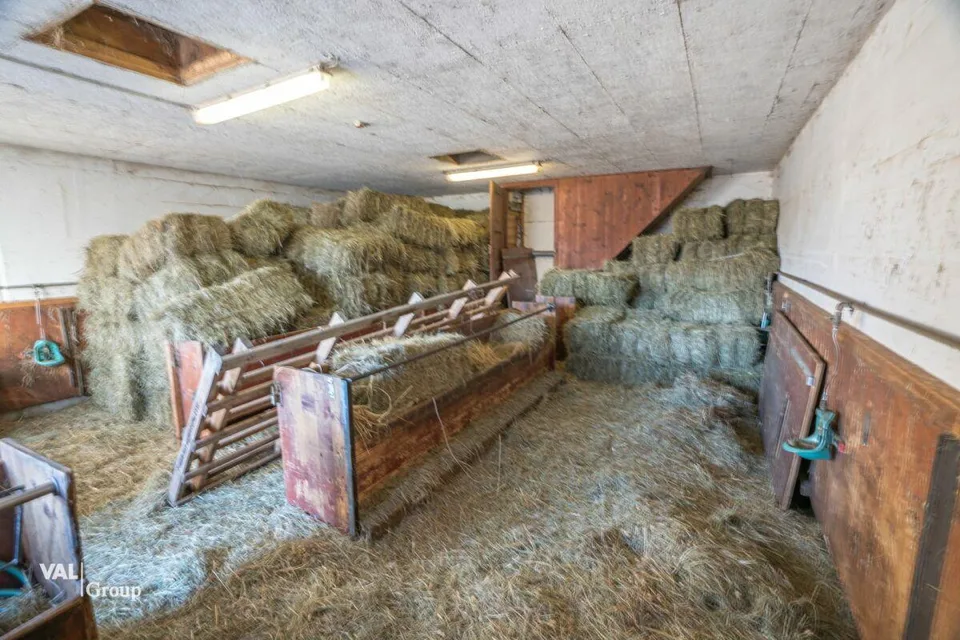 Stall, Scheune und Garage an schöner Lage