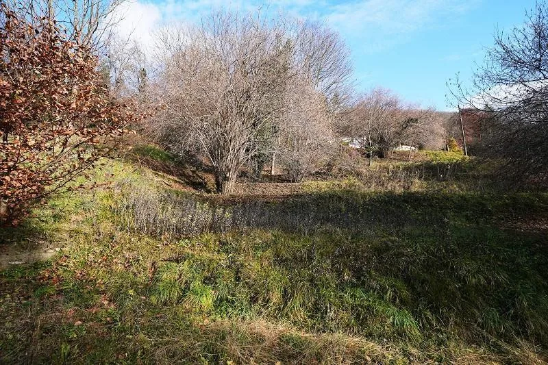 Grotto mit 6 Zimmer und grossem Grundstück / grotto con 6 locali e ... – Foto 23 von 30