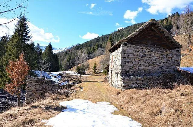 Due rustici da ristrutturare con terreno con bella vista panoramica... – Foto 24 von 27